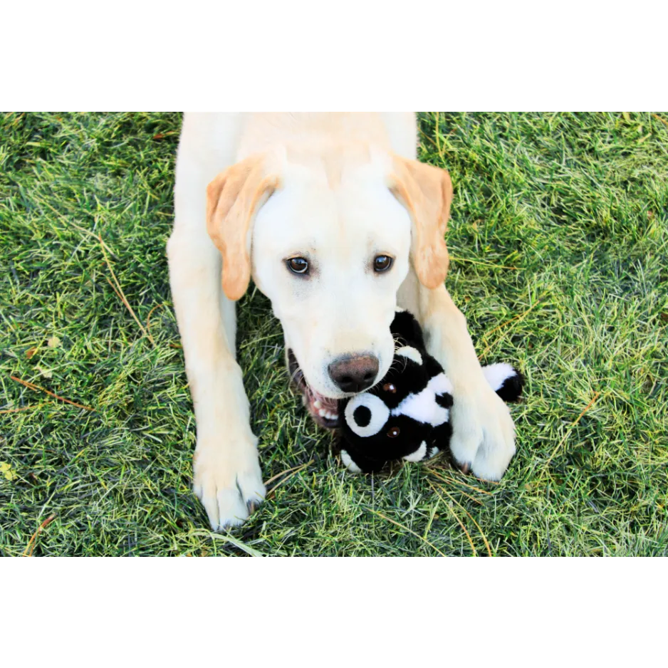 Furry Flingerz on Stick Skunk Dog Toy