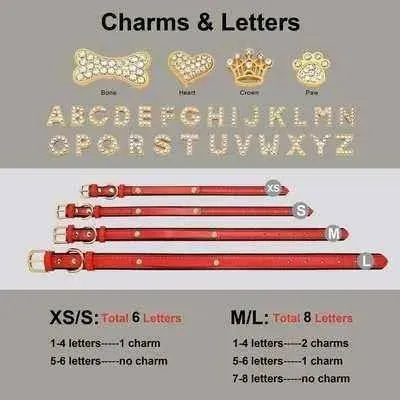 Luxury Rhinestone Pet Collar with Letter Charm