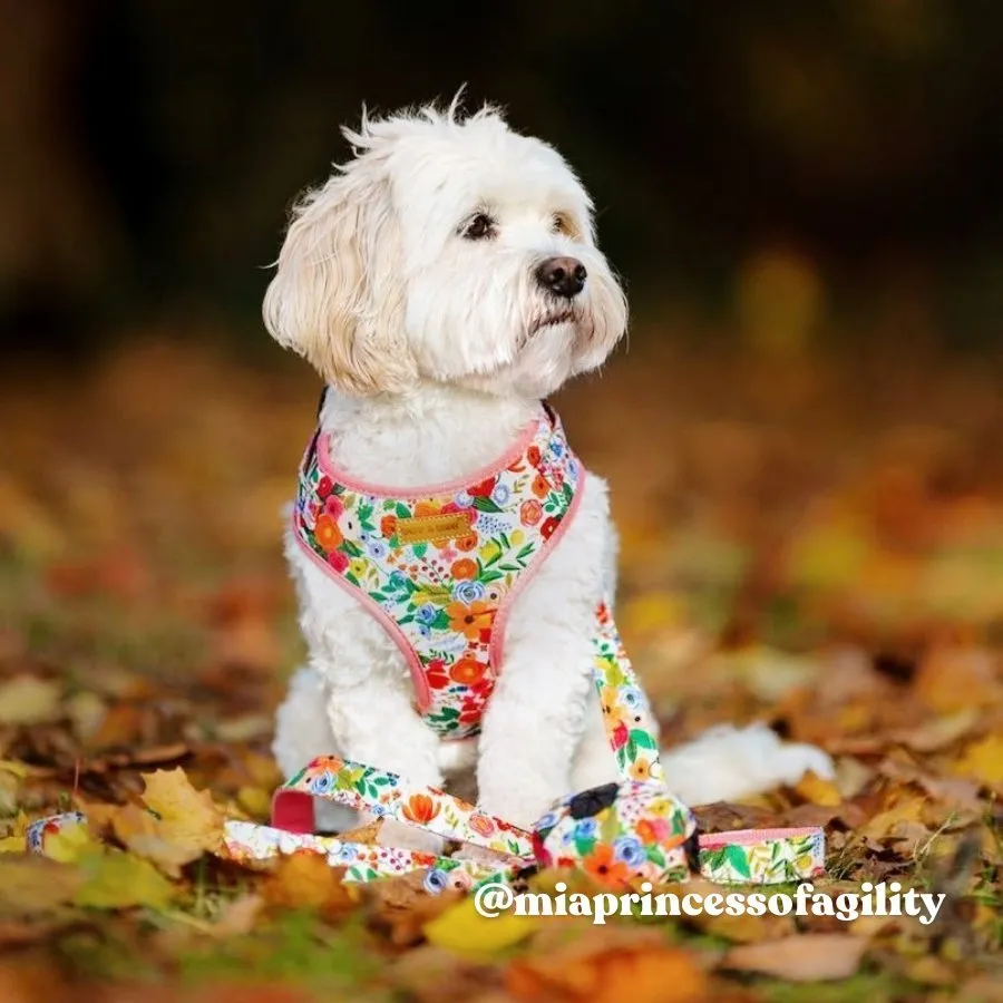 Morning Floral Lockable Harness™   Leash Set