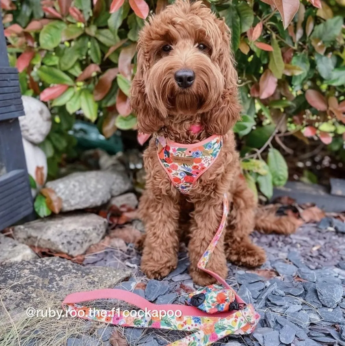 Morning Floral Lockable Harness™   Leash Set