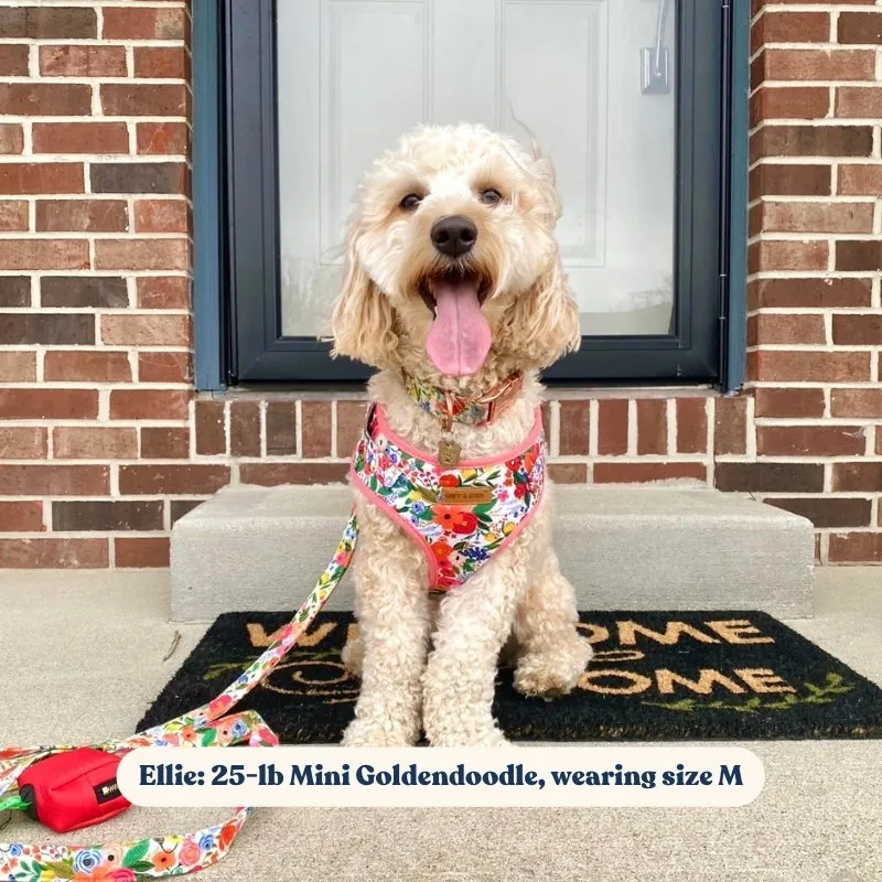 Morning Floral Lockable Harness™   Leash Set