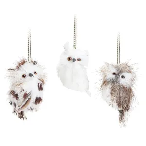 Owl Ornament - Assorted