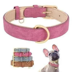 Pampered Pup Leather Collar