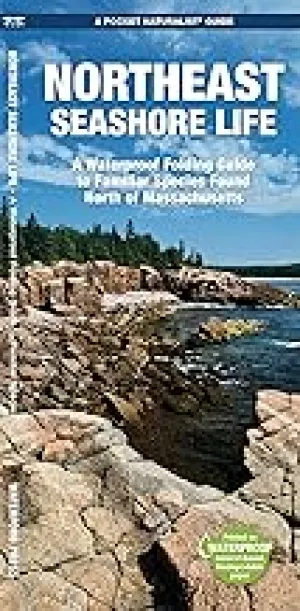 Pocket Naturalist Guide- Northeast Seashore Life