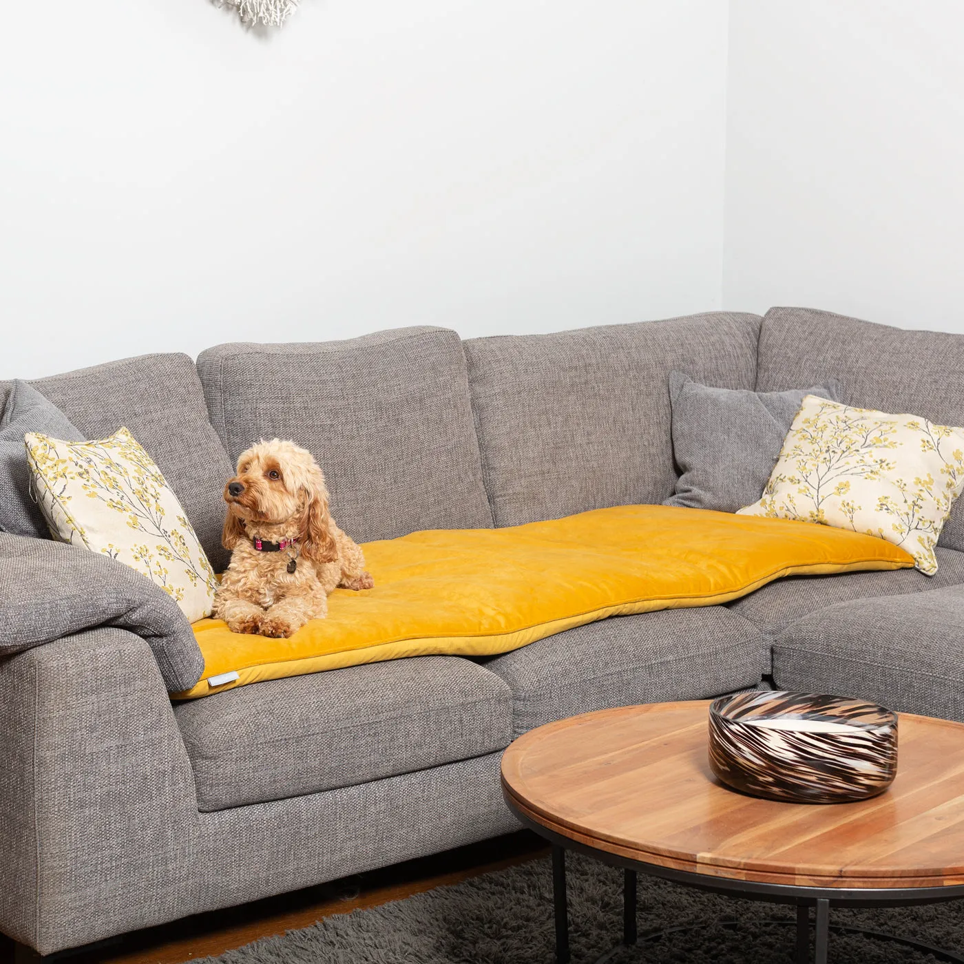 Sofa Topper in Saffron Velvet by Lords & Labradors