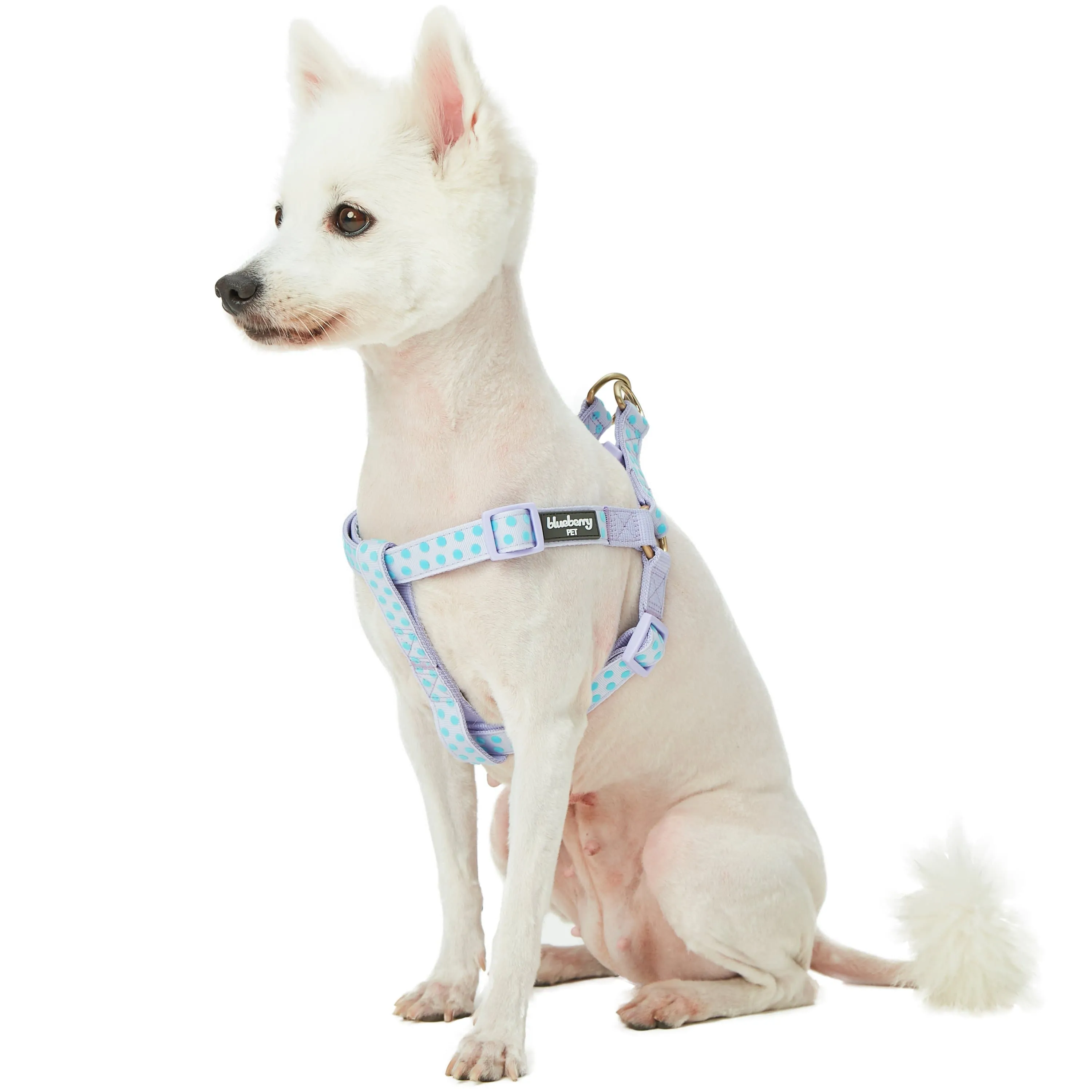 Soft Touch Dotted Velvet Dog Harness